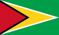 Guyana vlag