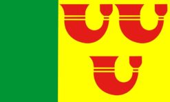 Heeze-Leende Municipal flag