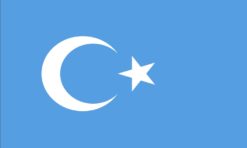 East Turkestan Uyghuristan flag