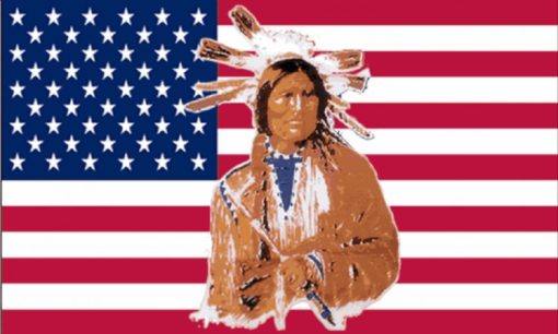 USA Indian vlag