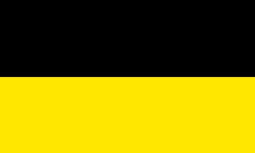 Zwart Geel vlag DVS Ermelo Vitesse Arnhem