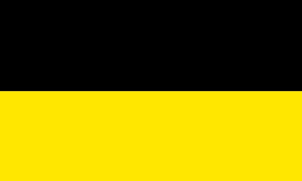 Koop Hier Uw Vitesse Arnhem Zwart Geel Flag Bij Wereldvlaggen Nl