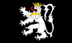 Gent Municipal flag