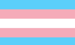 Transgender New Flag Bandana