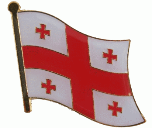 Georgia flag lapel pin