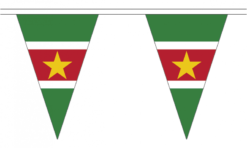 Suriname flag Bunting 20m long