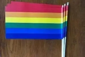 50 Rainbow Pride waving flags
