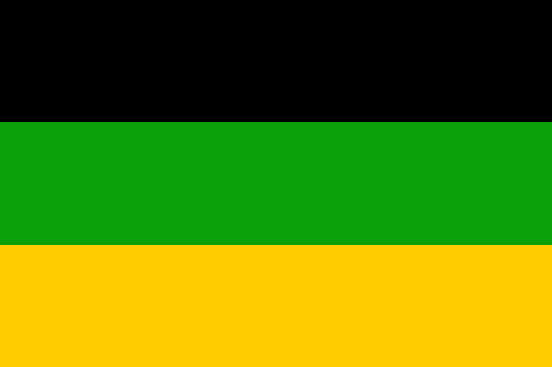 ANC African National Congress flag