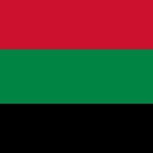 Aalsmeer Gemeentevlag