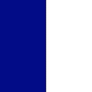 Blauw Witte vlag Verticaal