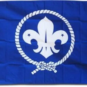 Blue Scouts Flag