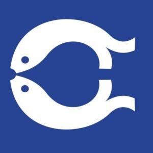 Capelle aan den IJssel Gemeentevlag
