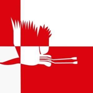 Cranendonck Gemeentevlag