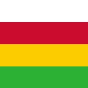 Dantumadiel Gemeentevlag