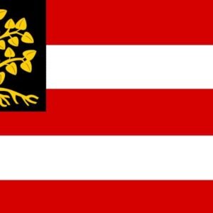 's Hertogenbosch Den Bosch Gemeentevlag