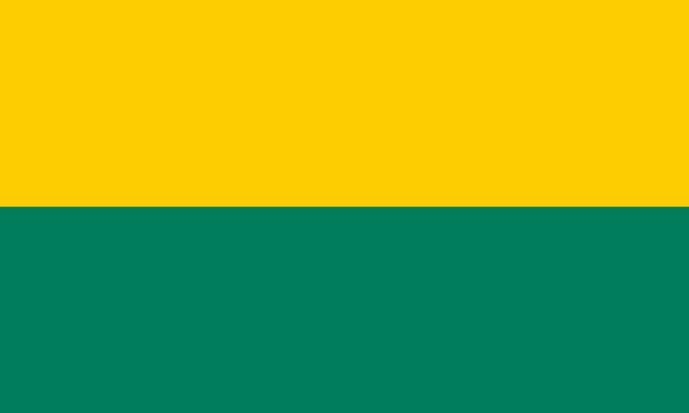 Den Haag Gemeentevlag