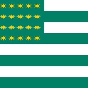 Ireland 32 Stars counties Fenian flag