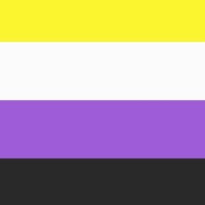 Genderqueer Non Binary pride flag