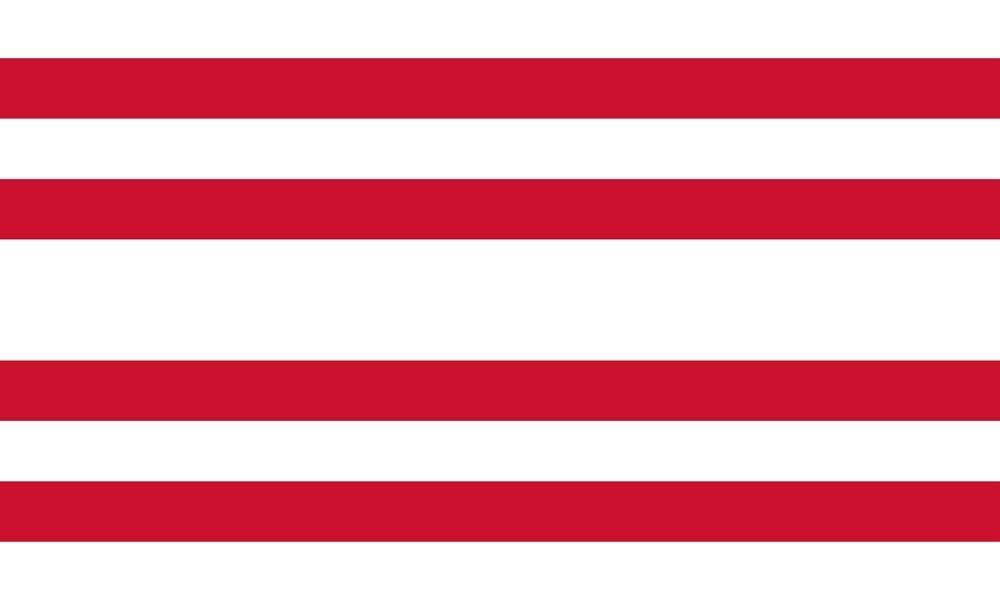 Gorinchem Gemeentevlag