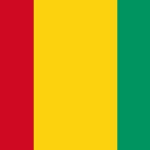 Guinea flag