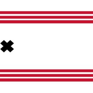 Hendrik-Ido-Ambacht Gemeentevlag