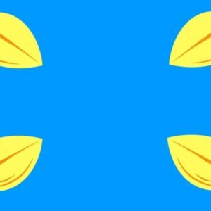 Hilversum Gemeentevlag