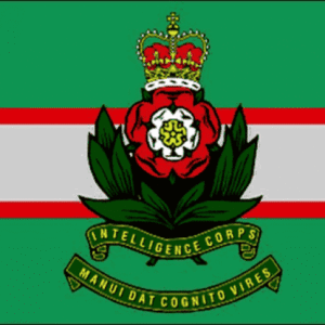 Intelligence Corps Flag