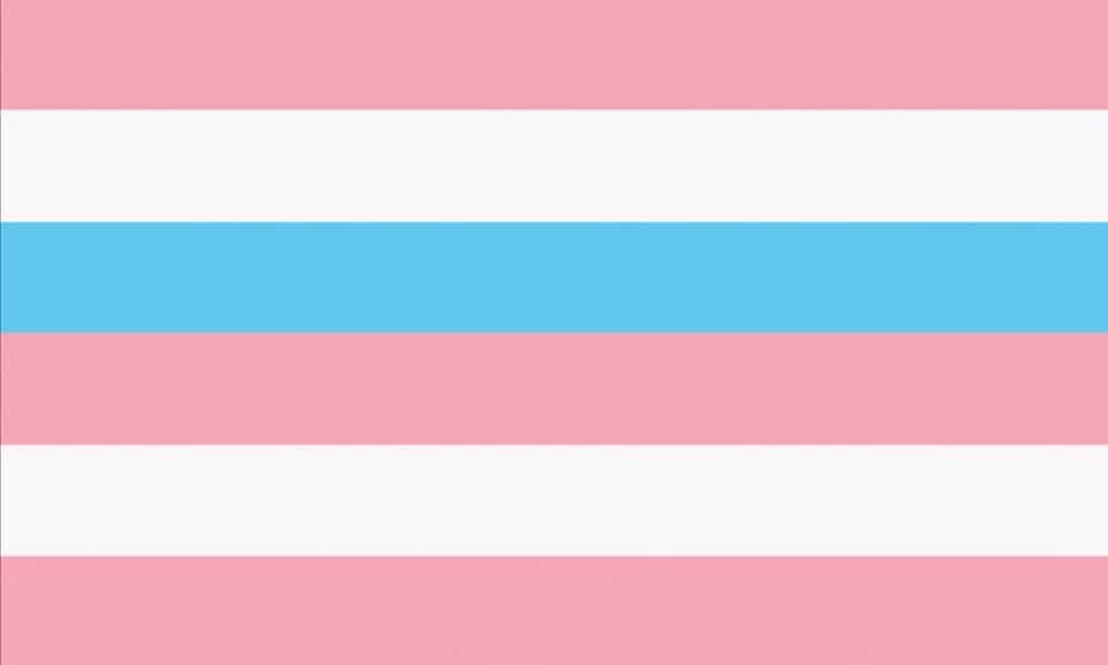 Intersex Flag pink blue