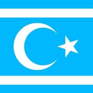 Turkmeneli flag