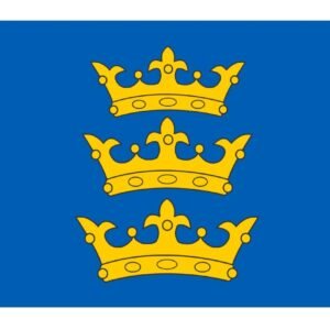 Lordship of Ireland flag