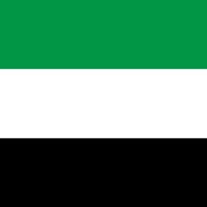 Leek Gemeentevlag