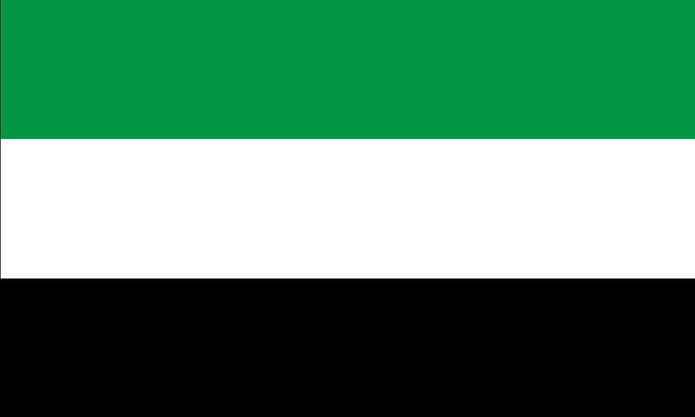 Leek Gemeentevlag