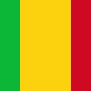 Mali vlag