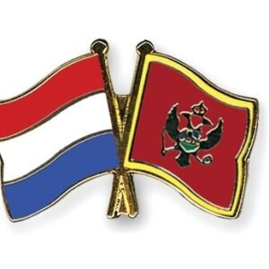 Netherlands Montenegro friendship flag pin