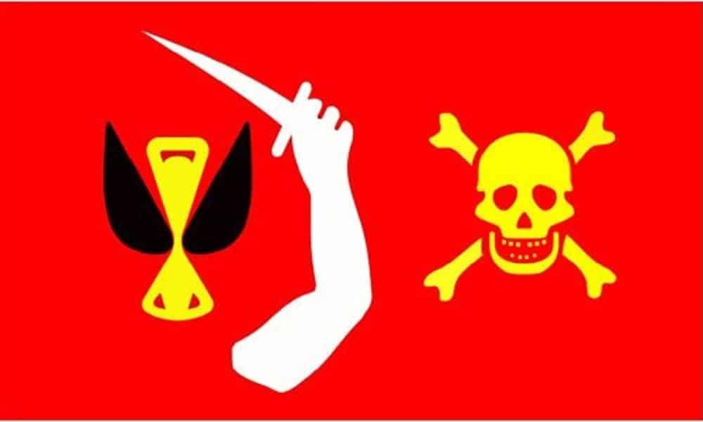 Pirate flag Chris Moody