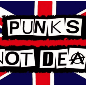 Punks Not dead Flag