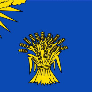 Reusel-De Mierden Gemeentevlag