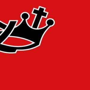 Rex Political Party flag