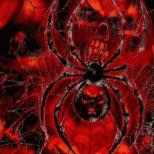 Spider with Skull flag