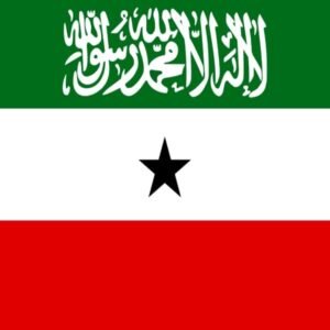 Somaliland flag