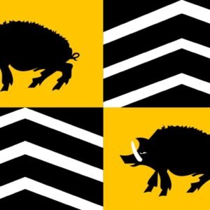 Vorselaar Gemeentevlag