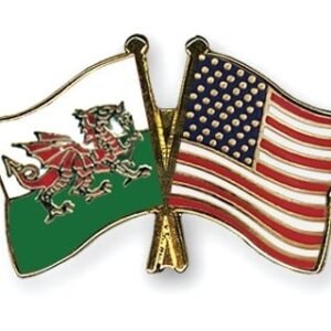 Wales USA flag friendship pin