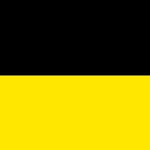 Vitesse Arnhem Zwart Geel vlag