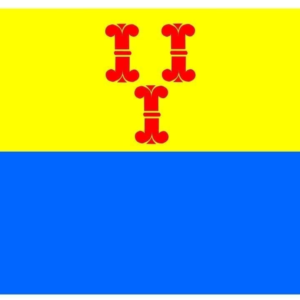 Barneveld Gemeentevlag