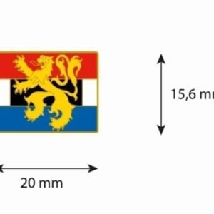 Benelux flag lapel pin
