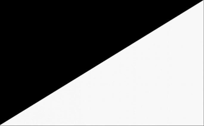 Black White diagonal Racing flag