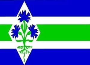 Blaricum Gemeentevlag