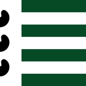Bloemendaal Gemeentevlag