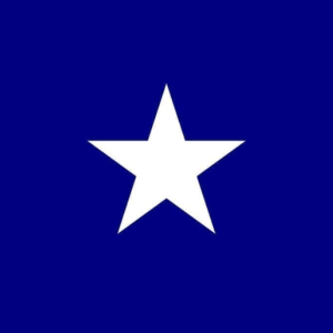 USA flag Bonnie Blue