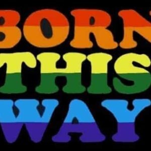 Born this way flag